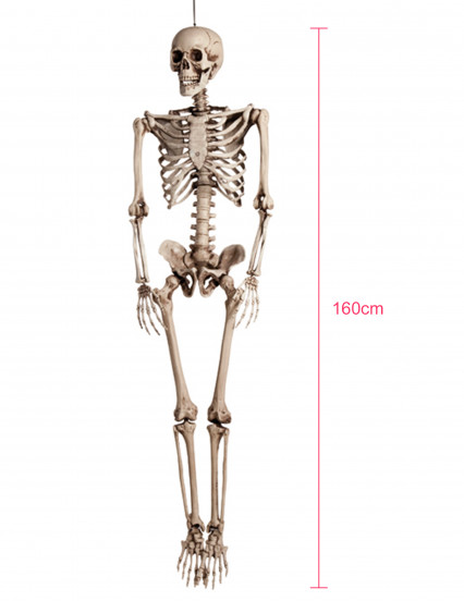 Knogleskelet - Halloweendekoration 160cm 3