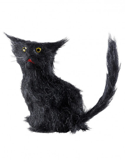 Sort kat til Halloween 1