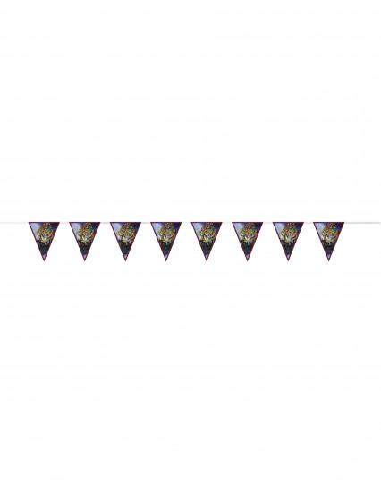 Dekorations kit Harry Potter™ 7 stk 4